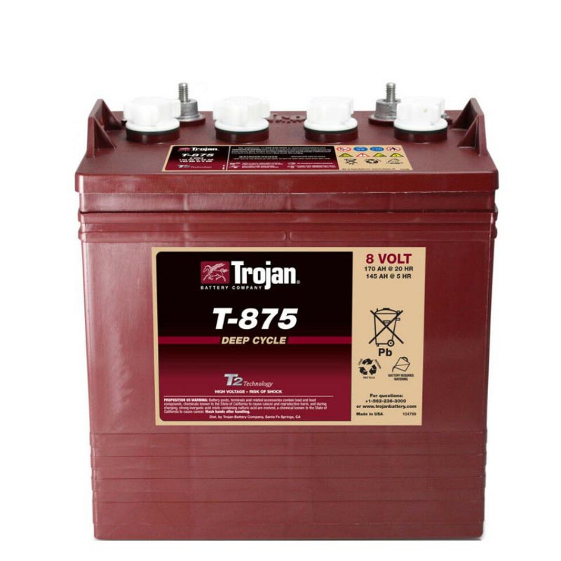 Batterie Trojan T875 8V 170Ah